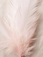 Pink Boho Feather 1