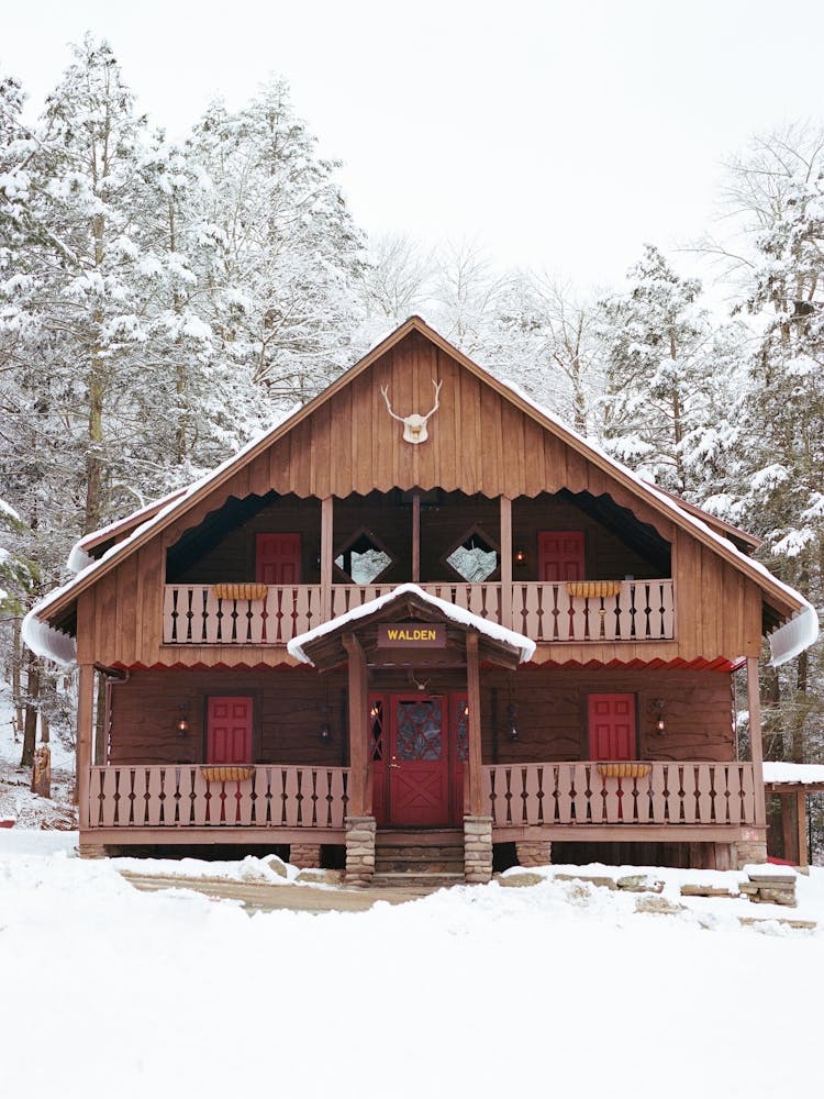 Upstate New York Snow XI on Film