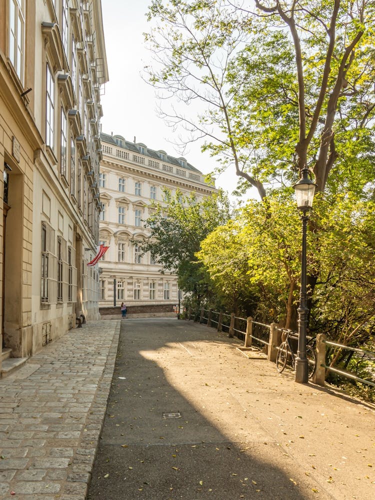 Street Scene In Old Town of Vienna