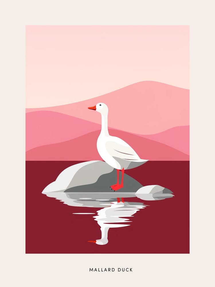 Minimalist Mallard Duck 2 Bird Poster