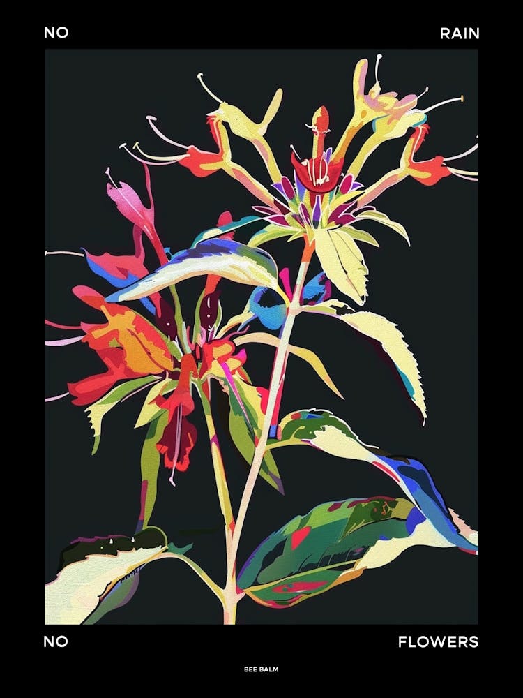 No Rain No Flowers Poster Bee Balm 2