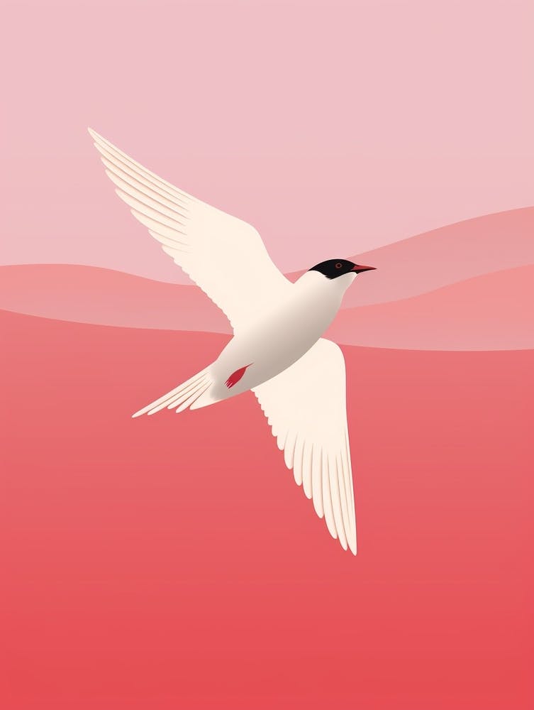 Minimalist Common Tern 2 Illustration