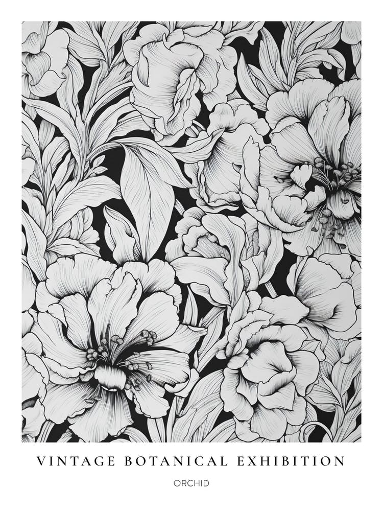 Orchid 2 B&W Vintage Botanical Poster