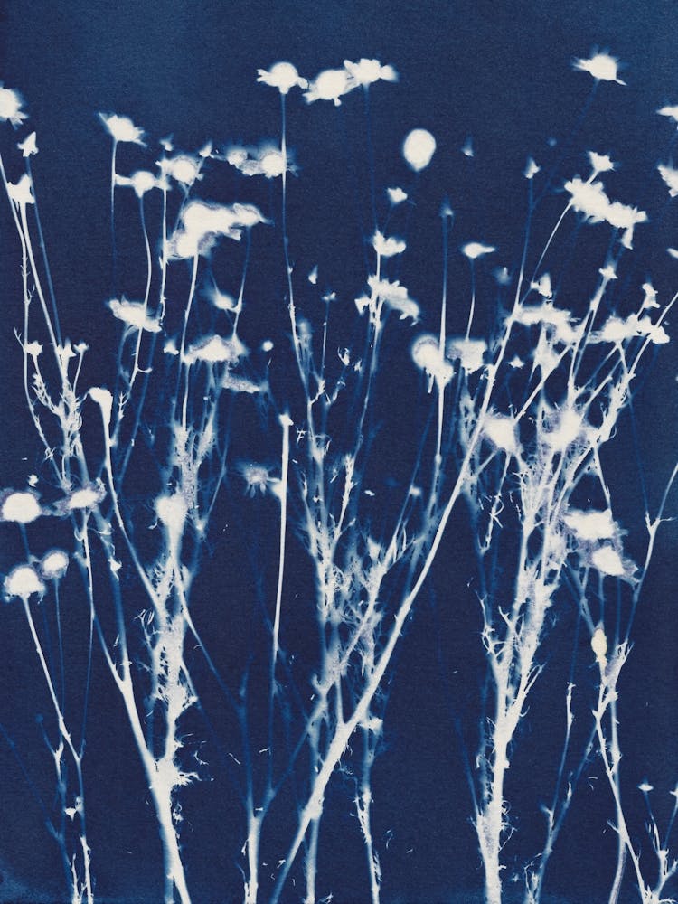 Magic In The Ordinary 10