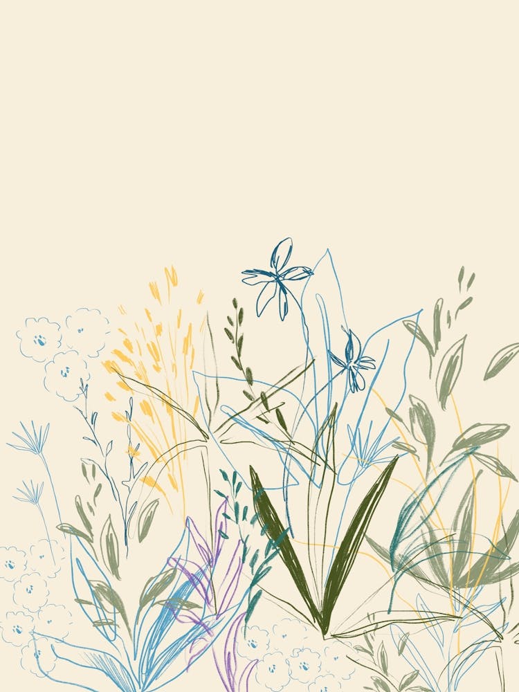 Wildflowers