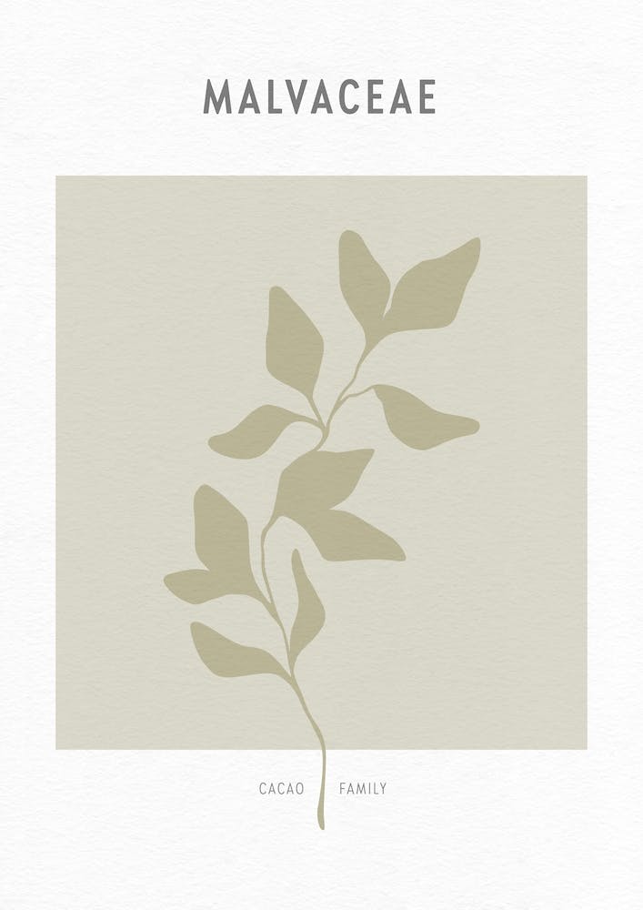 Boho Leaves 2 Malvaceae