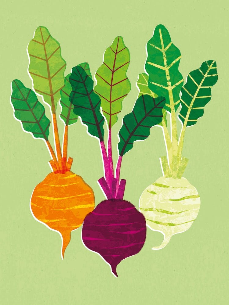 Beetroot