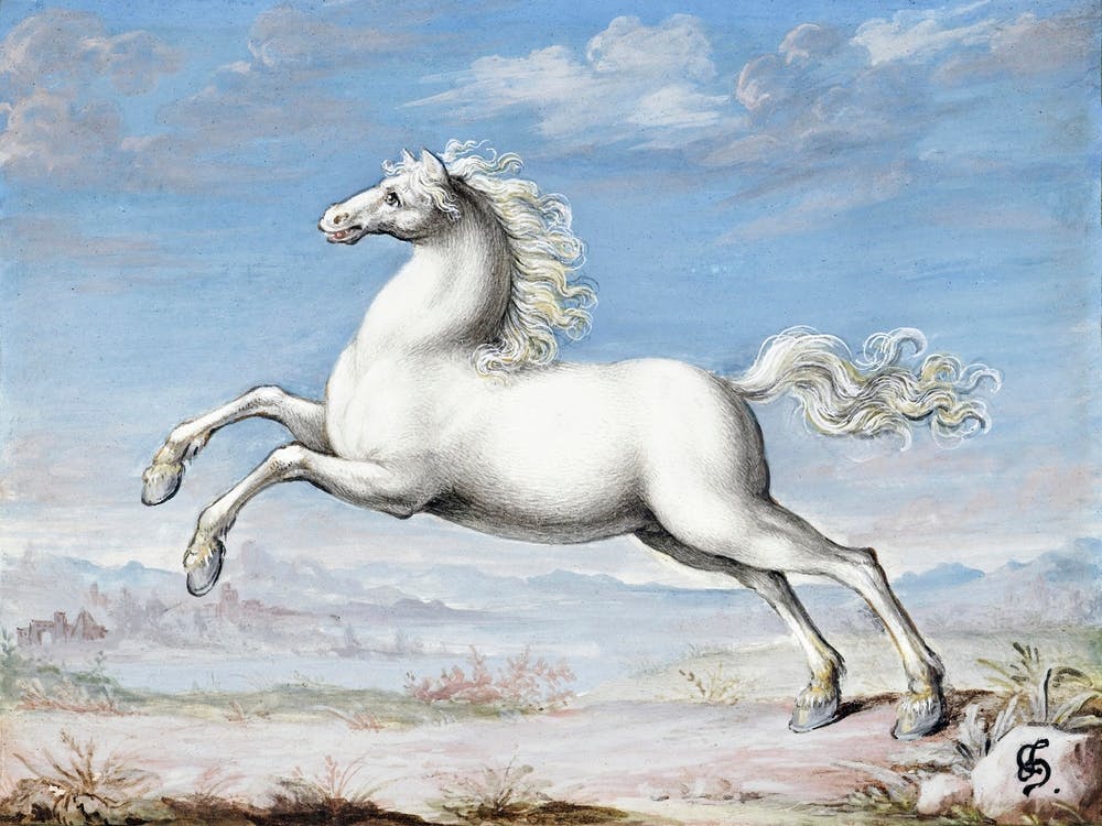 White Horse (1552–1601), Joris Hoefnagel