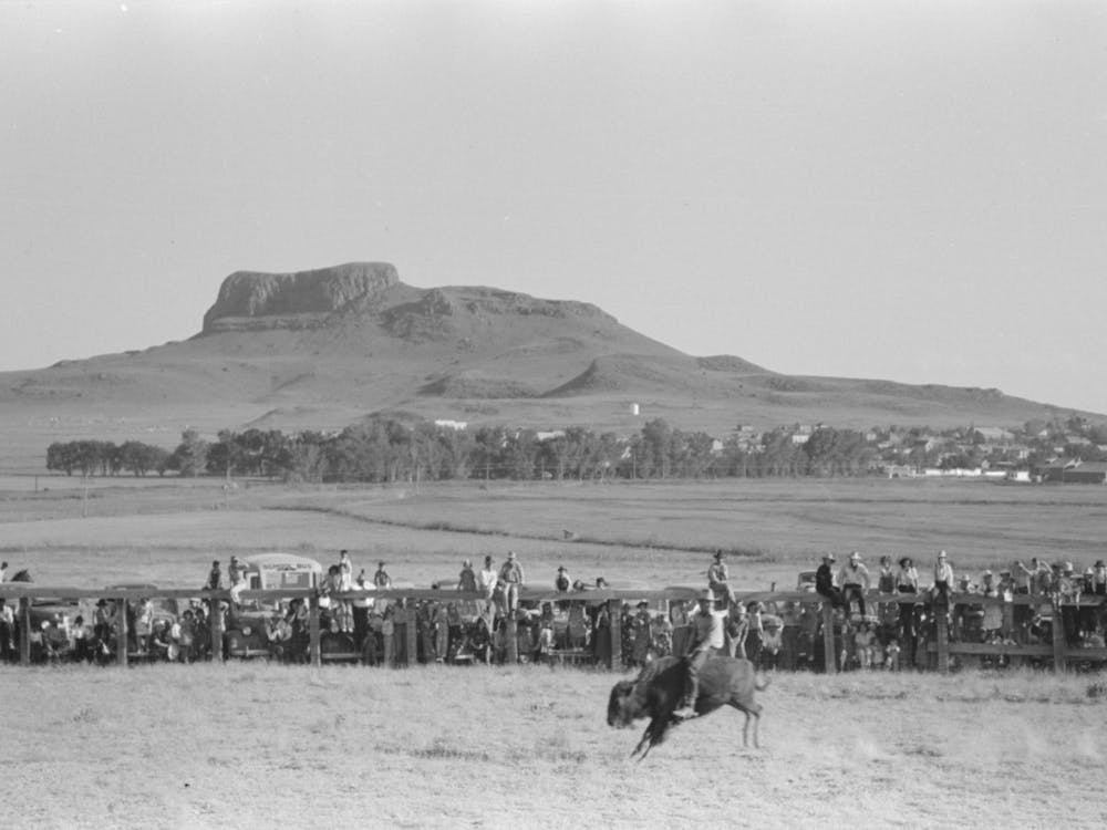 Riding A Buffalo, Bean Day, Wagon Mound, New Mexico By Russell Lee