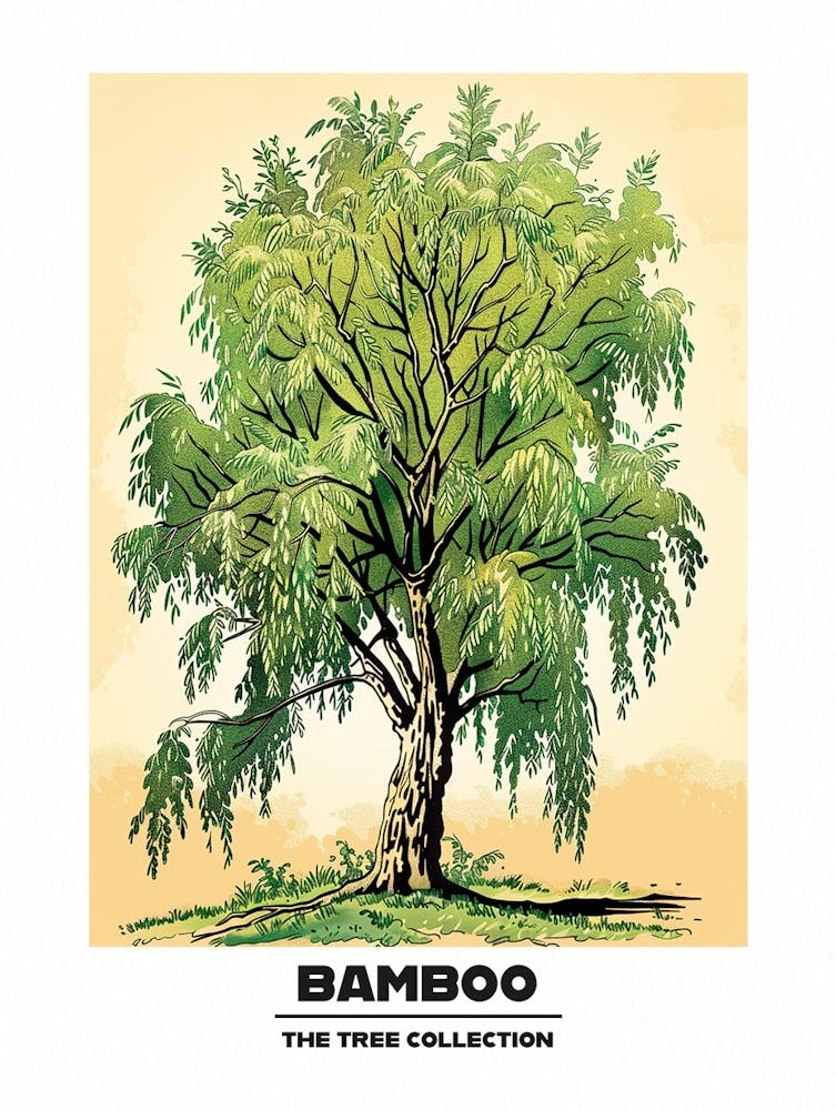 Bamboo Tree Storybook Illustration 1 Poster
