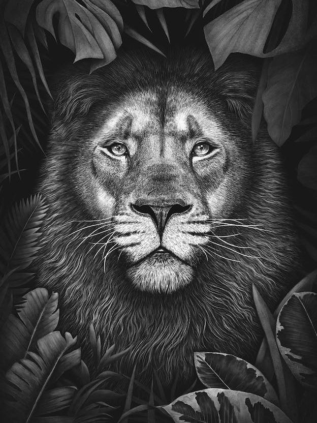 Lion In Tropical Leaves