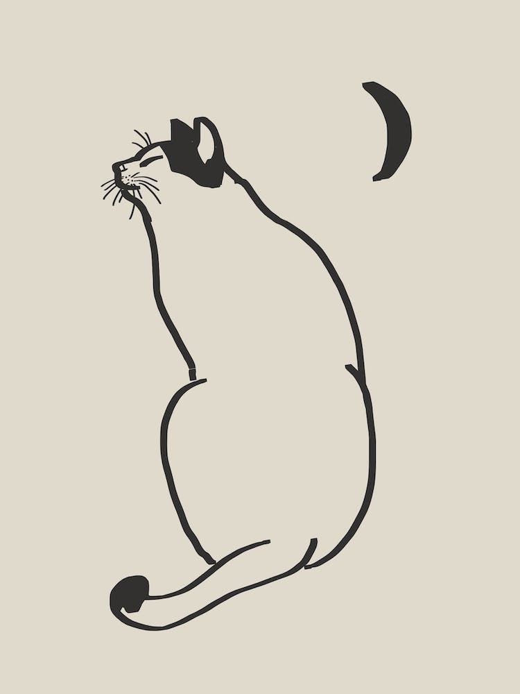 Line Art Cat Drawing 4
