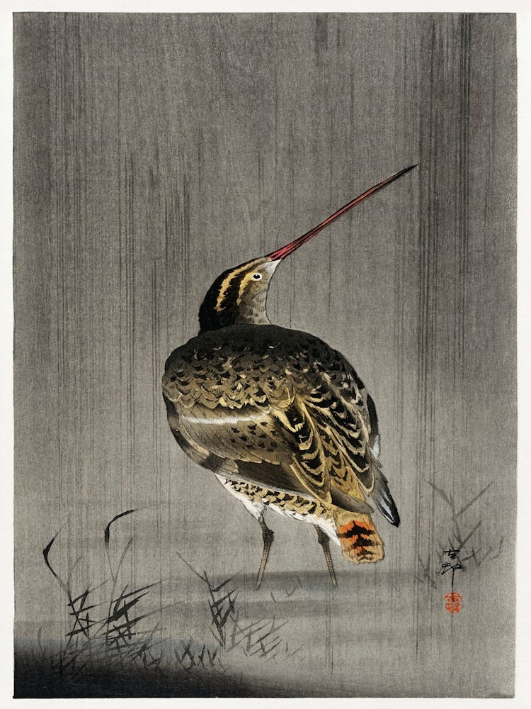 Bekassine im Regen (1900 1930), Ohara Koson
