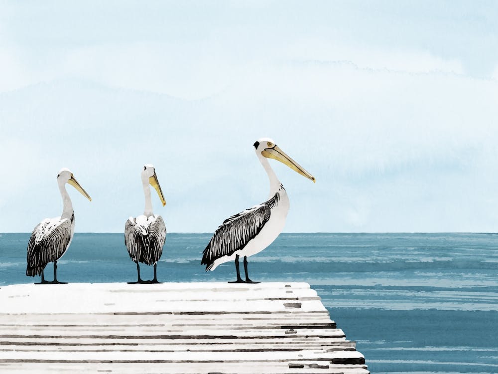 Pelikane auf dem Pier Blau und Grau Küsten Aquarell