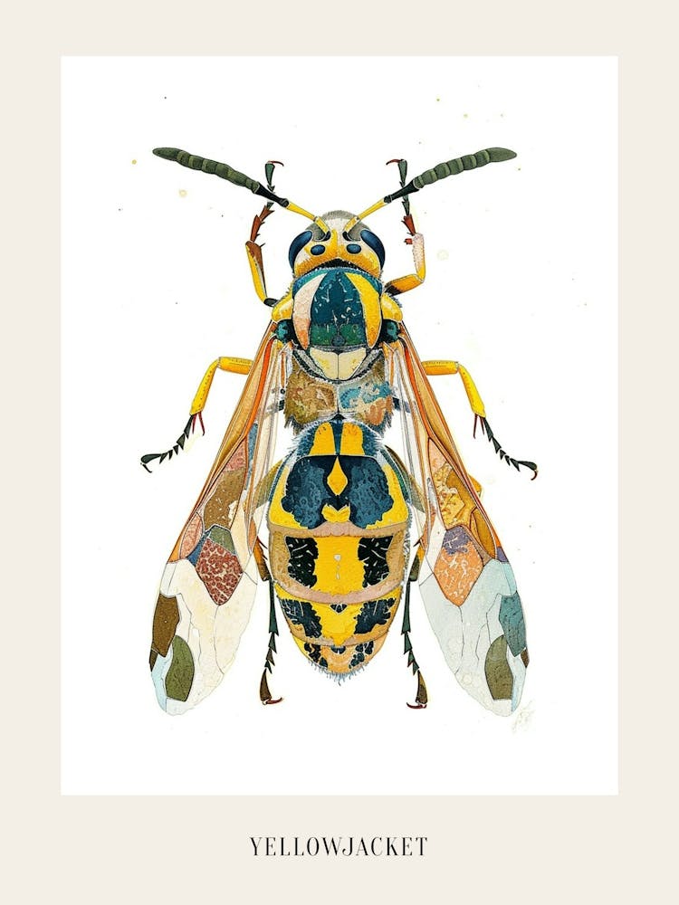 Colourful Insect Illustration Yellowjacket 14 Poster