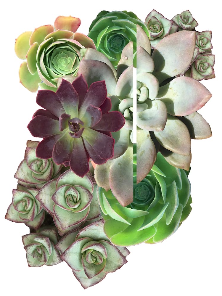 Sliced