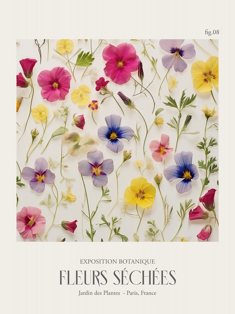 Fleurs Sechees, Dried Flowers Exhibition Poster 08