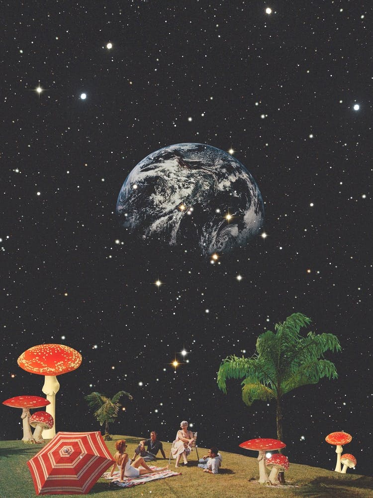 Lsd