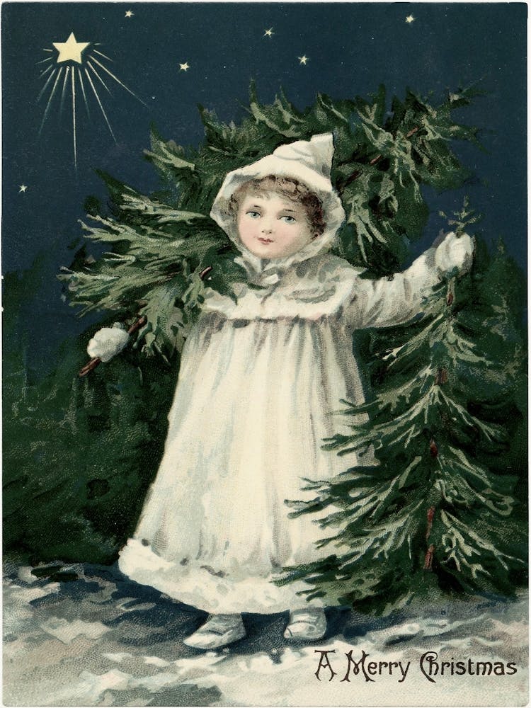Little Girl With Christmas Tree