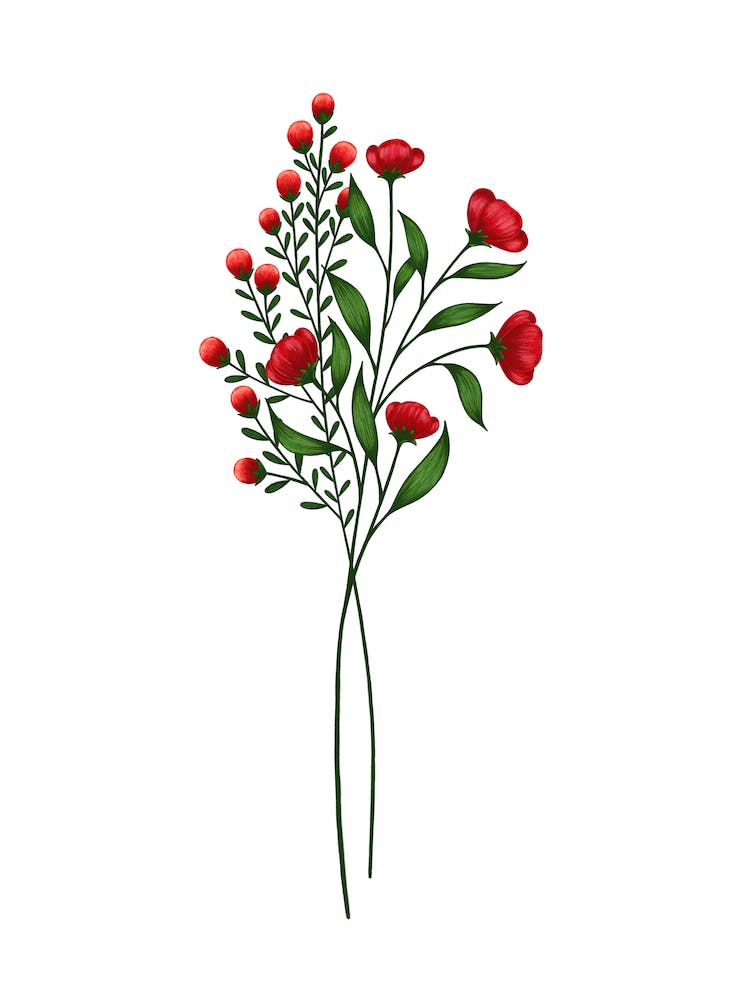 Blooming Flowers In The Spring