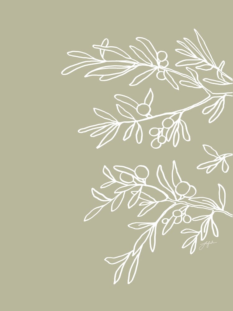 Line Art Olive set, B