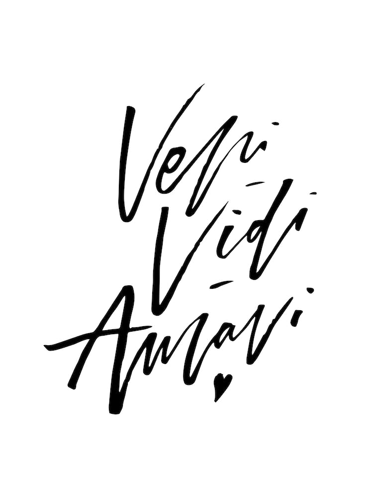 Veni Vidi Amavi