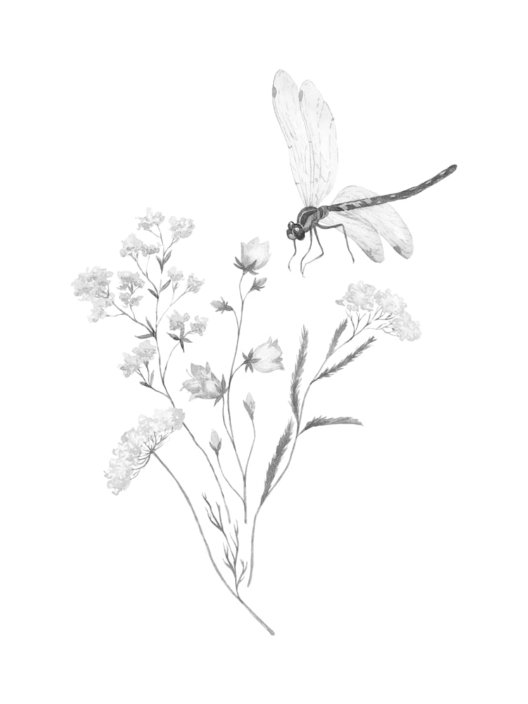 Libelle auf einer Blume