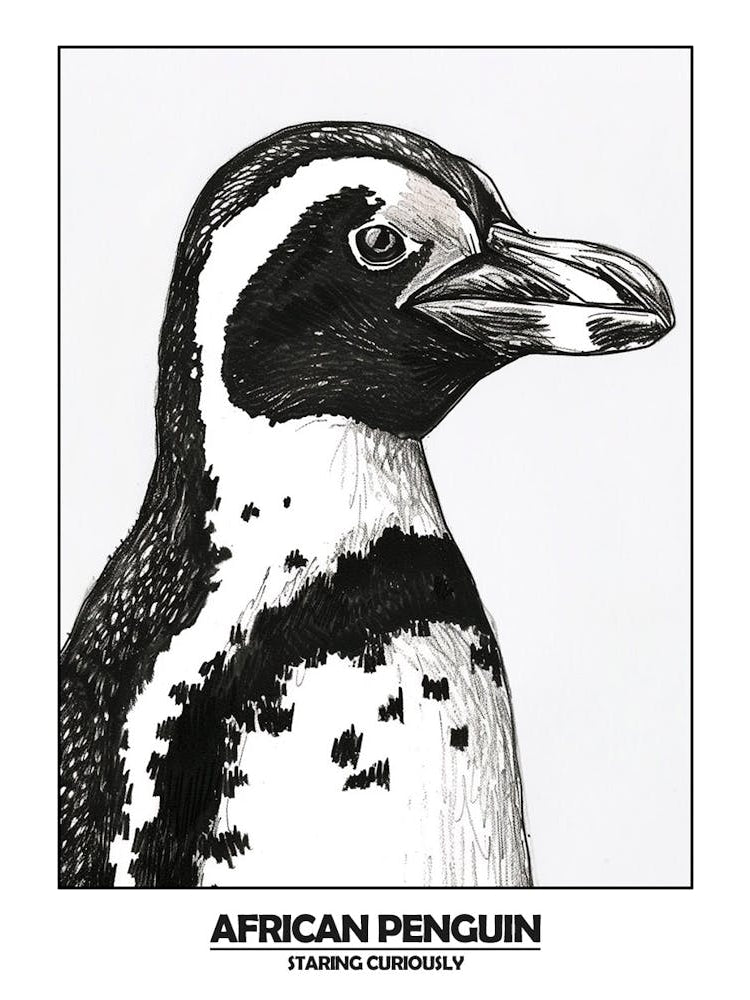 Penguin Staring Curiously Poster 3
