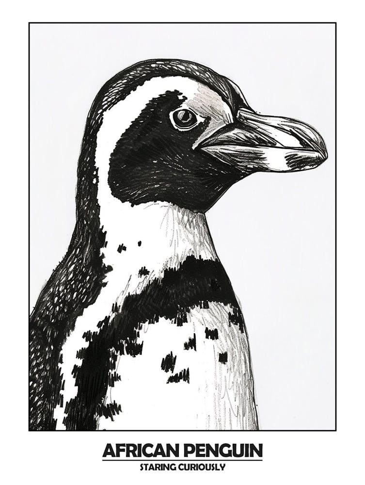 Penguin Staring Curiously Poster 3