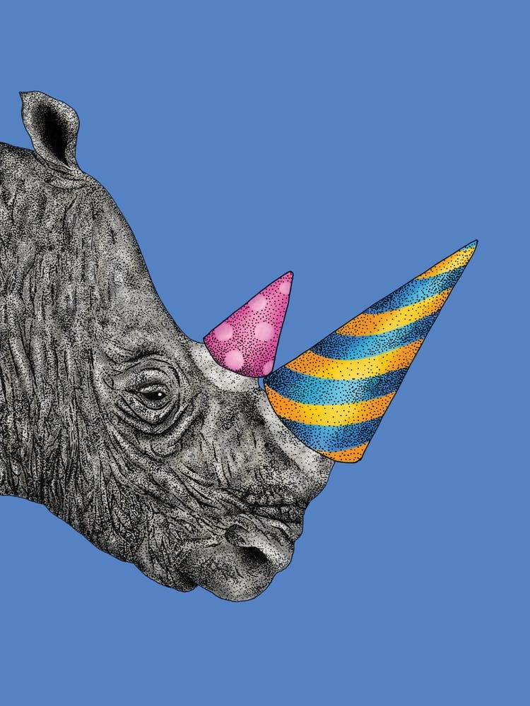 Party Rhino