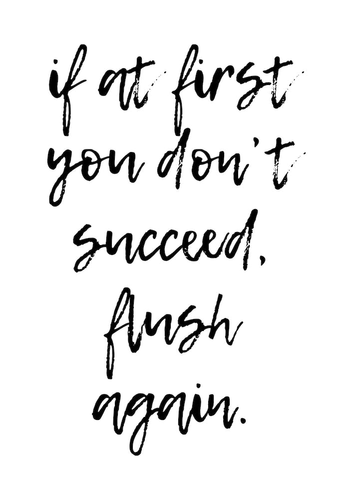 If At First You Don’T Succeed Flush Again