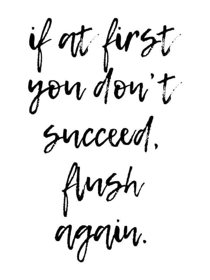 If At First You Don’T Succeed Flush Again