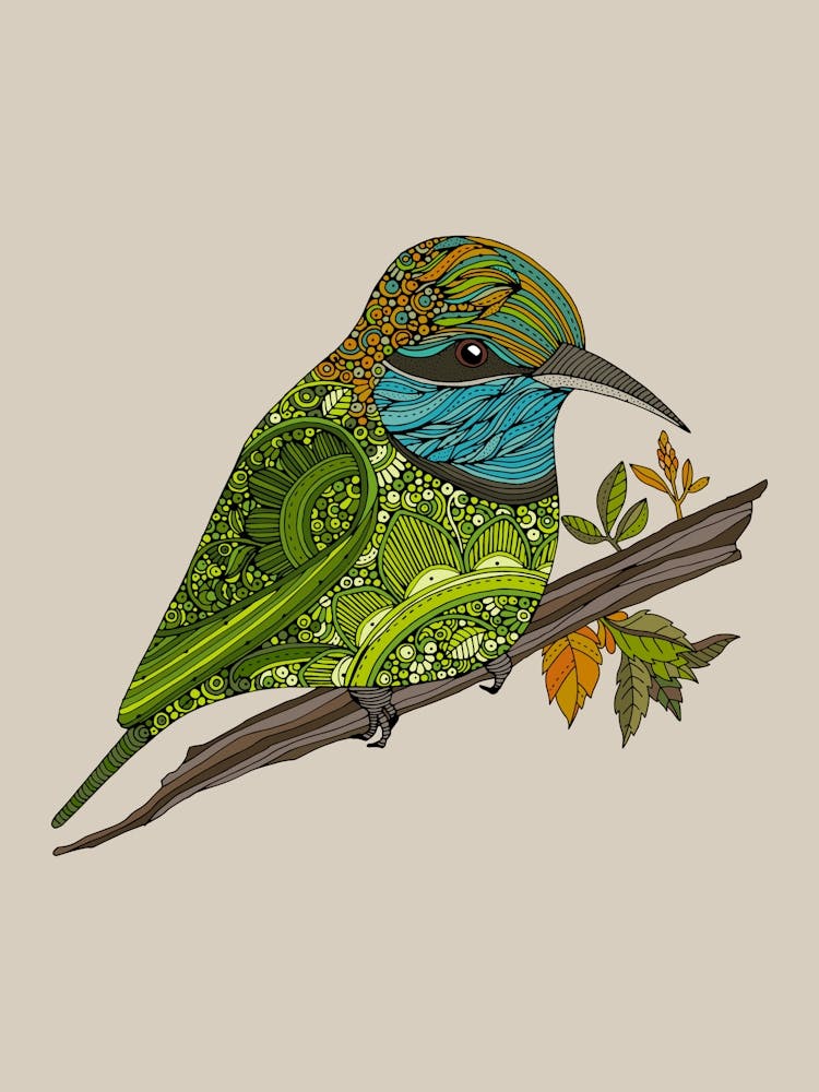 Paulo The Asian Green Bee Eater