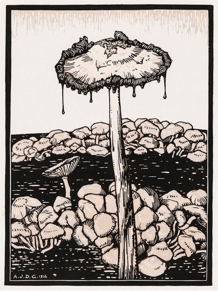 Dripping Mushroom, Julie De Graag