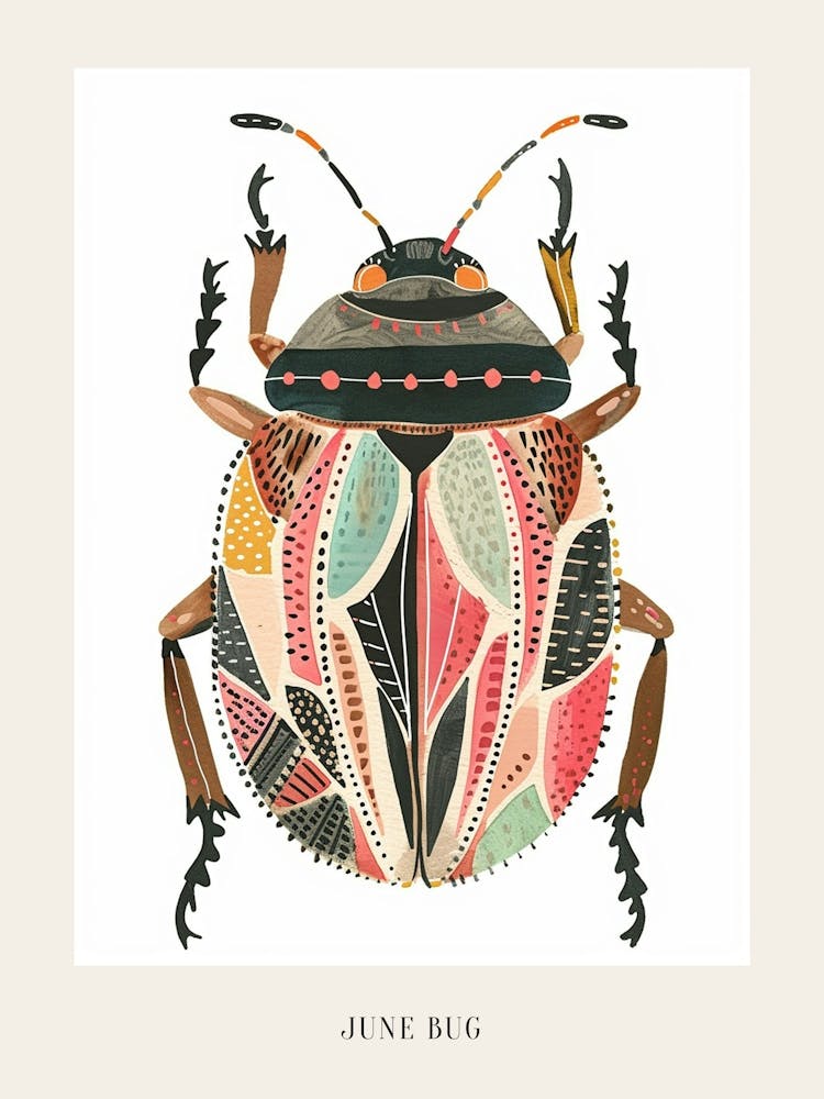 Colourful Insect Illustration June Bug 9 Poster