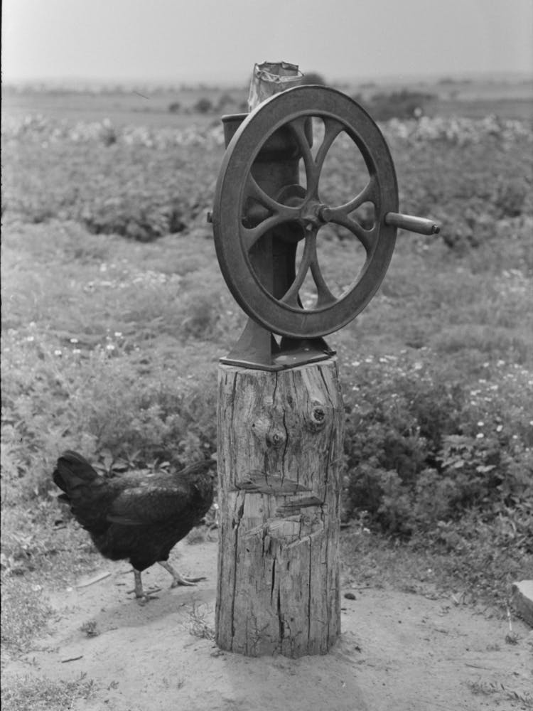 Corn Grinder On Tenant S Farm Near Warner, Oklahoma By Russell Lee
