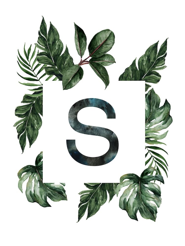 Botanical Alphabet S