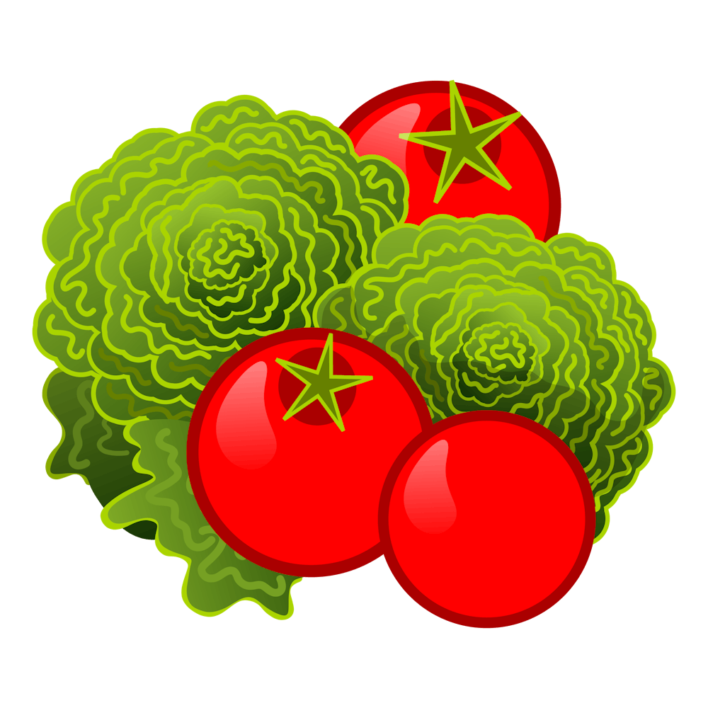 Légumes Laitue Tomate Salade Plantes Potager Savoureux Frais Fruits Et Légumes Nature Design Stylisé Éléments Isolés Groupe Vert Rouge Pulpe Nutrition Régime Alimentaire Aliment Vitamine
