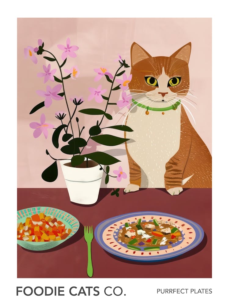 Foodie Cats Co Cat And Mexican Food 3