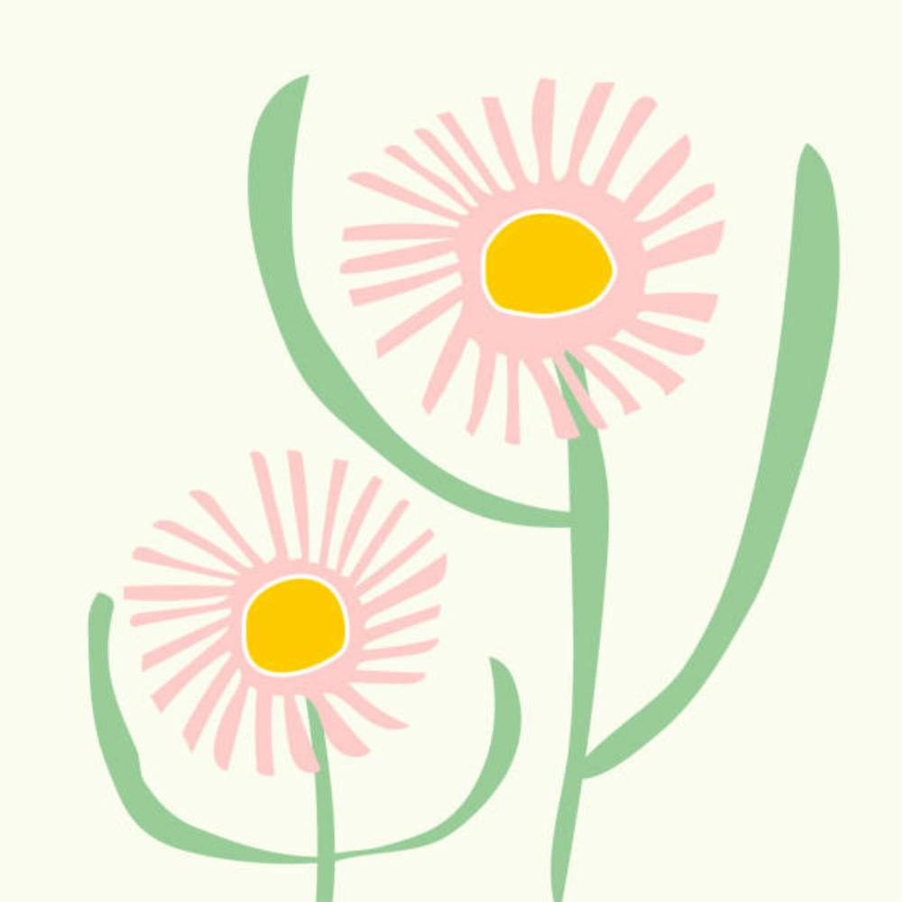 Pink Daisies 2
