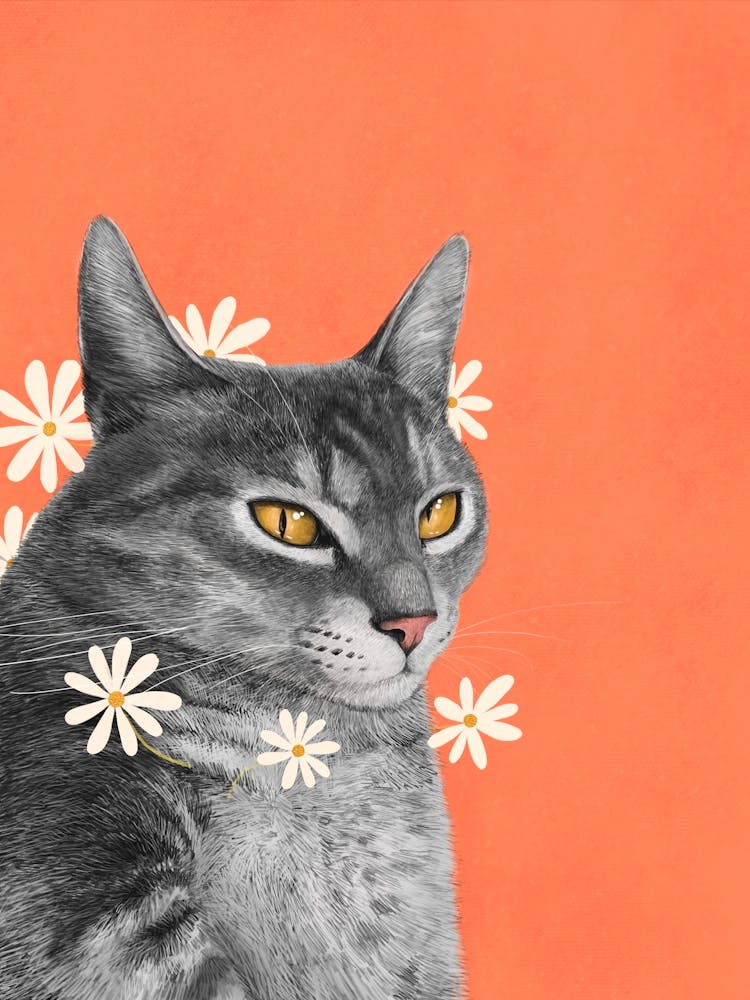 Katze Mit Kamillenblüten