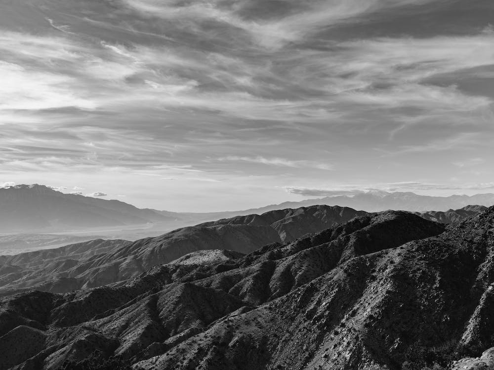 Joshua Tree National Park XXVII