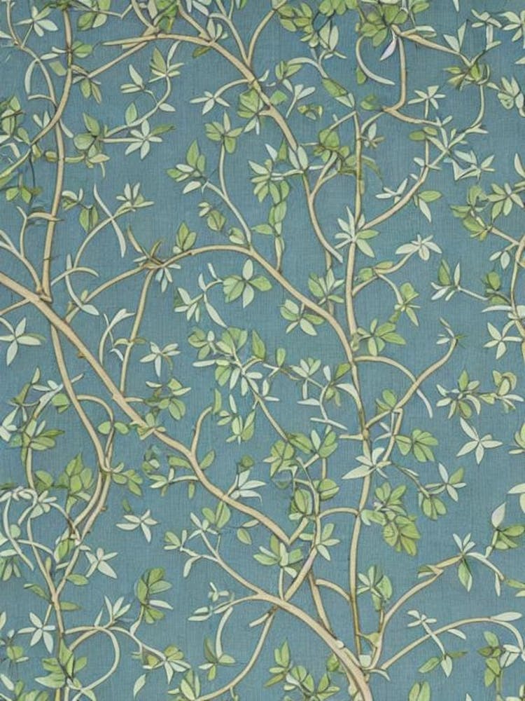 Common Hackberry 2 Baum Vintage Botanik