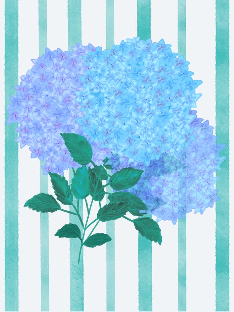 Blaue Hortensie