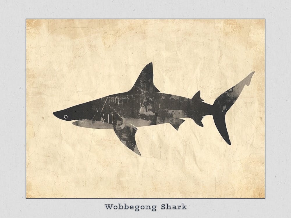 Wobbegong Shark Silhouette 2 Poster