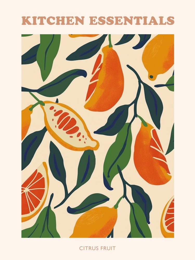 Citrus Fruit Abstract Illustration Poster 4