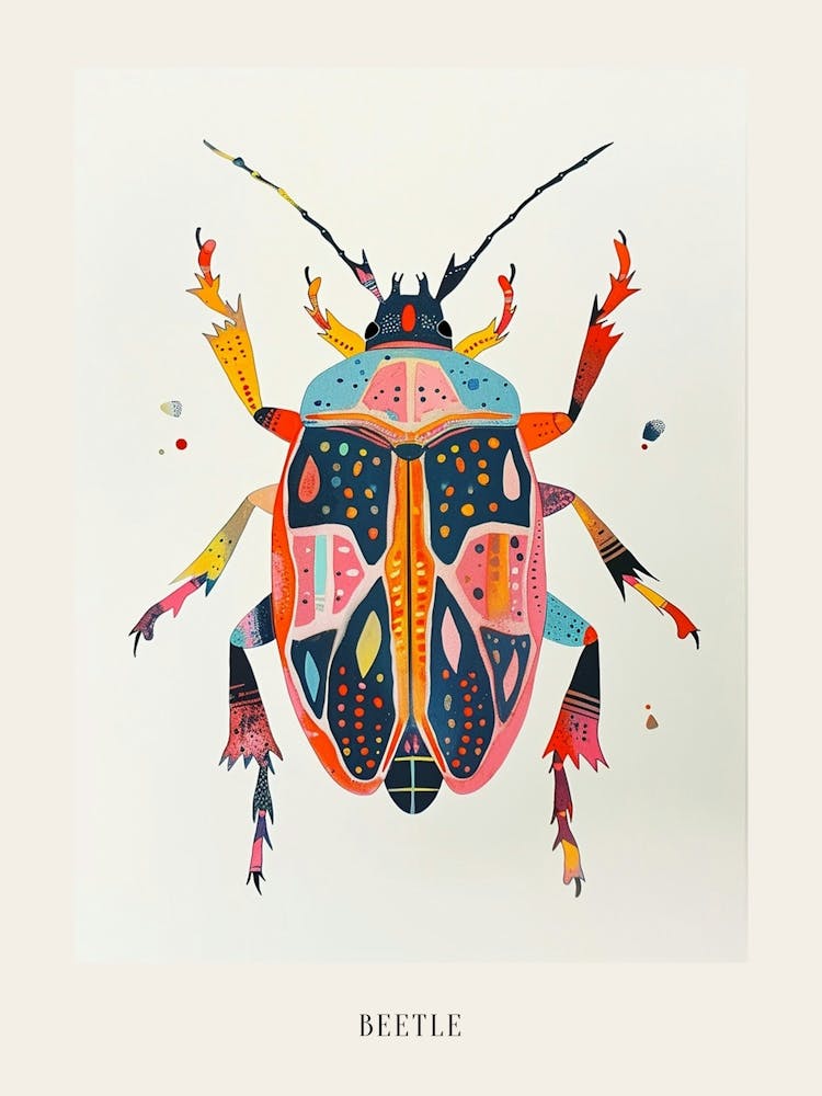 Colourful Insect Illustration Beetle 24 Poster