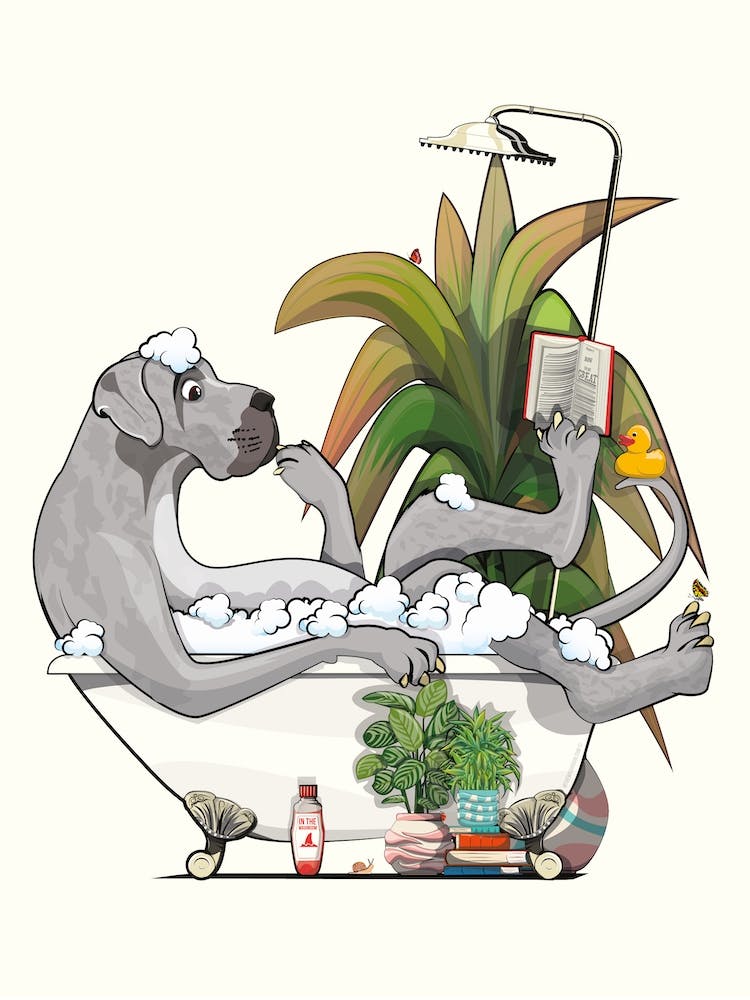 Great Dane In The Bath