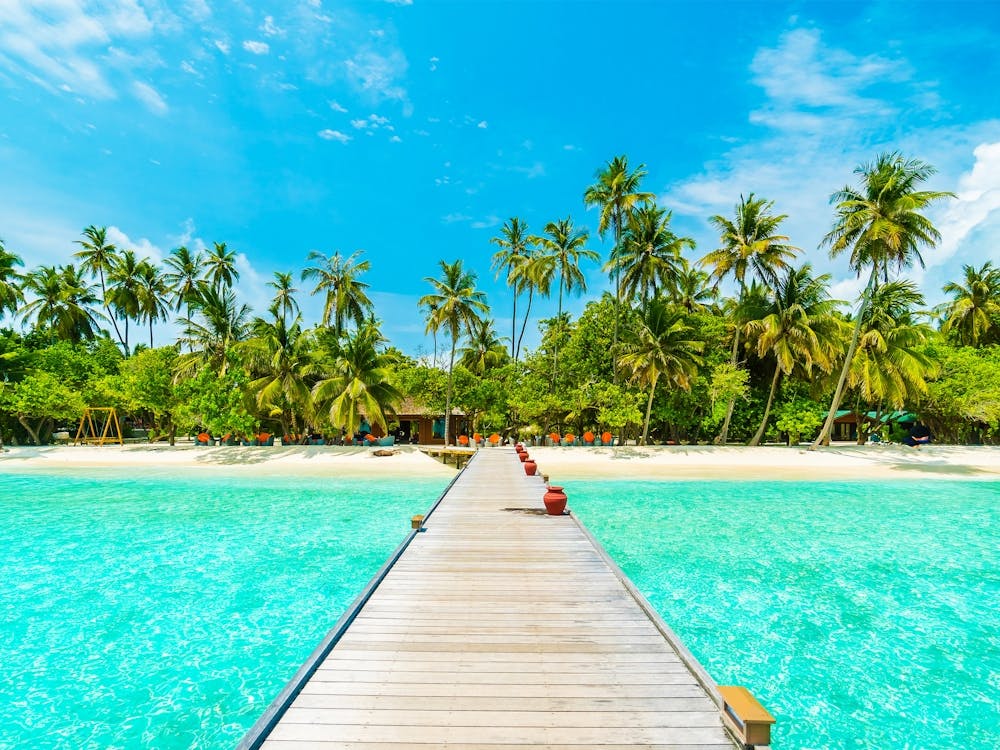 Maldives. Wooden bridge. Tropical. #4