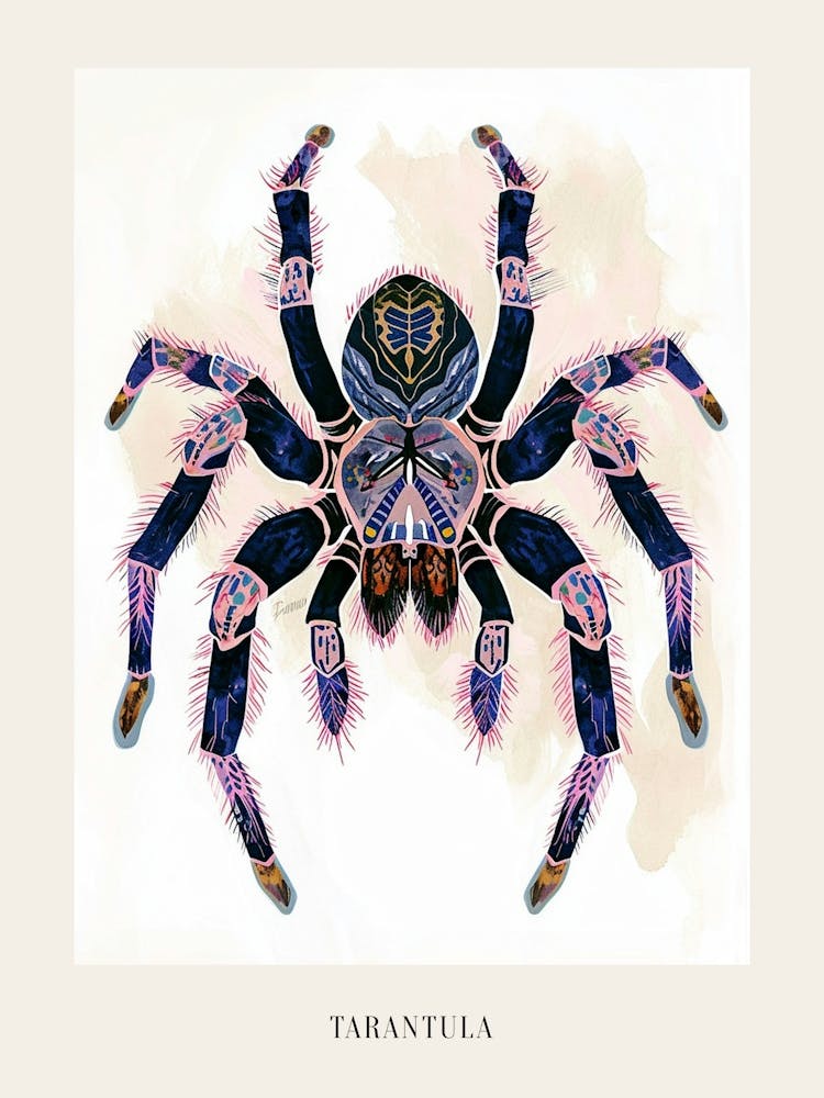 Colourful Insect Illustration Tarantula 1 Poster